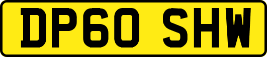 DP60SHW