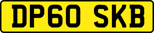 DP60SKB