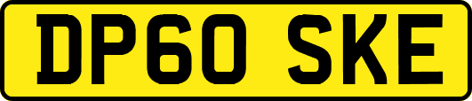 DP60SKE