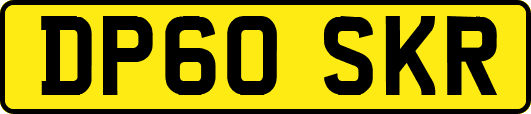 DP60SKR