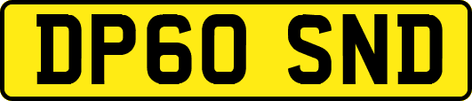 DP60SND