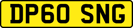 DP60SNG
