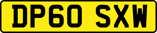 DP60SXW