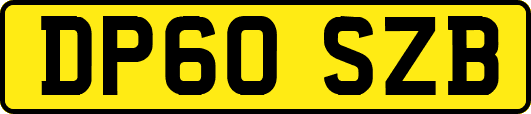 DP60SZB