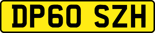 DP60SZH