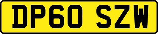 DP60SZW
