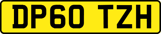 DP60TZH