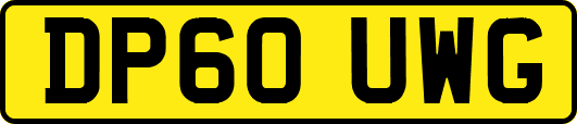 DP60UWG
