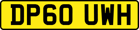 DP60UWH