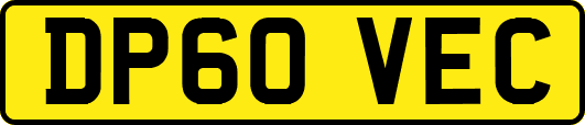 DP60VEC