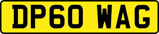 DP60WAG