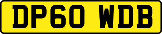 DP60WDB