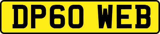 DP60WEB