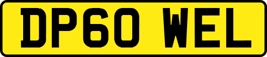 DP60WEL