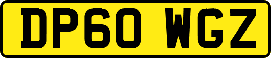 DP60WGZ