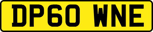 DP60WNE