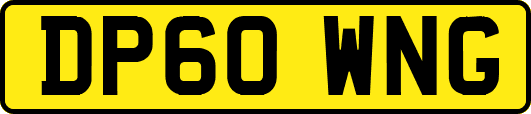 DP60WNG