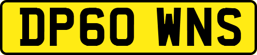 DP60WNS