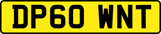 DP60WNT
