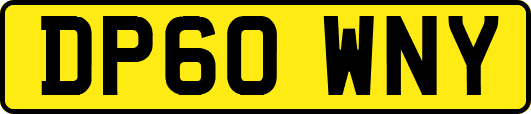 DP60WNY