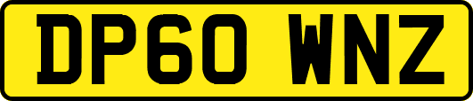 DP60WNZ