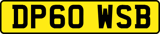 DP60WSB