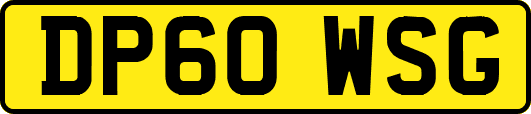DP60WSG