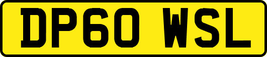 DP60WSL