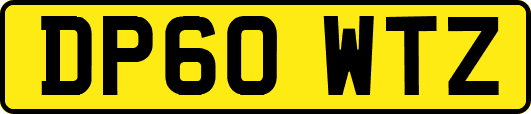 DP60WTZ