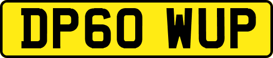 DP60WUP