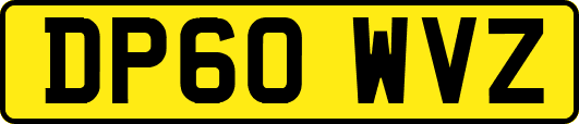 DP60WVZ
