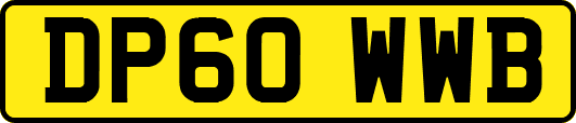 DP60WWB