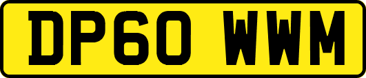 DP60WWM