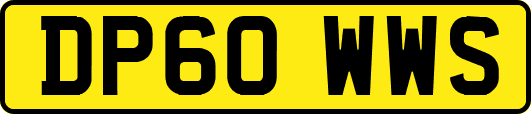 DP60WWS
