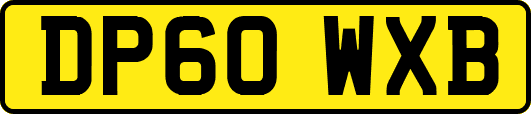 DP60WXB
