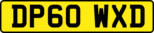 DP60WXD