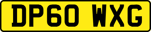 DP60WXG