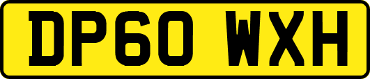 DP60WXH