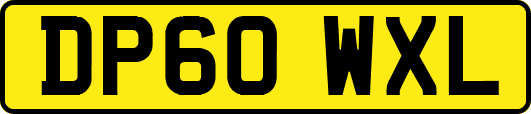 DP60WXL