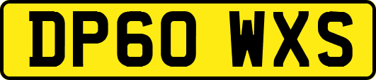 DP60WXS