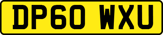 DP60WXU