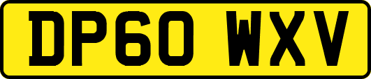 DP60WXV