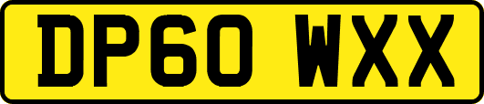 DP60WXX