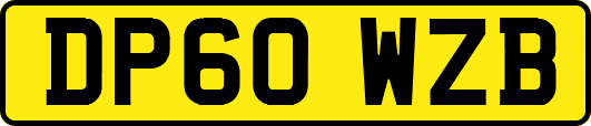 DP60WZB