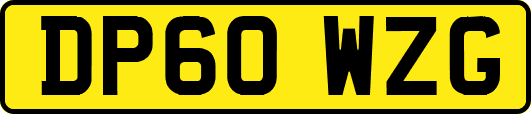 DP60WZG