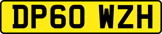 DP60WZH