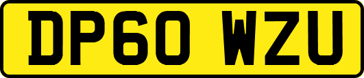DP60WZU