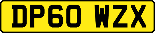 DP60WZX