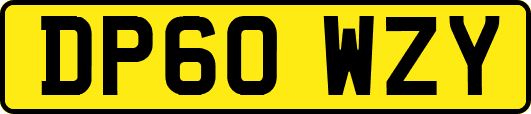 DP60WZY