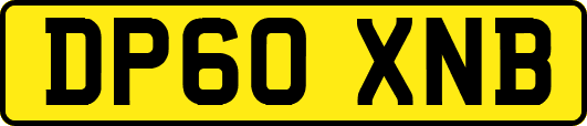 DP60XNB